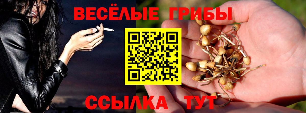 Конопля Сорочинск